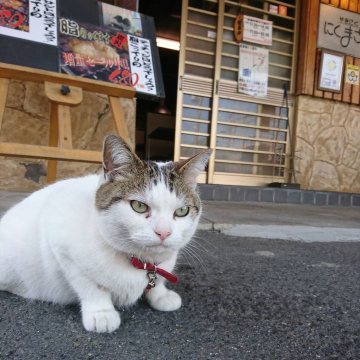 Fb40e762 a692 4534 8952 5ed67e020b62 1524285192892