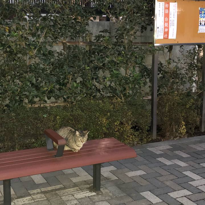 Fb40f6bd c754 4146 8b83 38e0130412ad 1545403539149