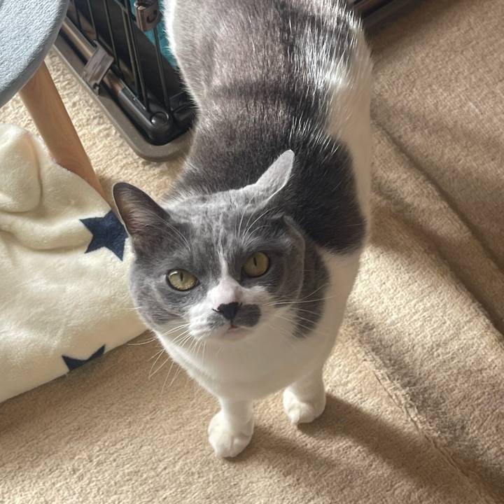 Fb41003e ff29 4e1c b676 12cffdd96483 1737853334963