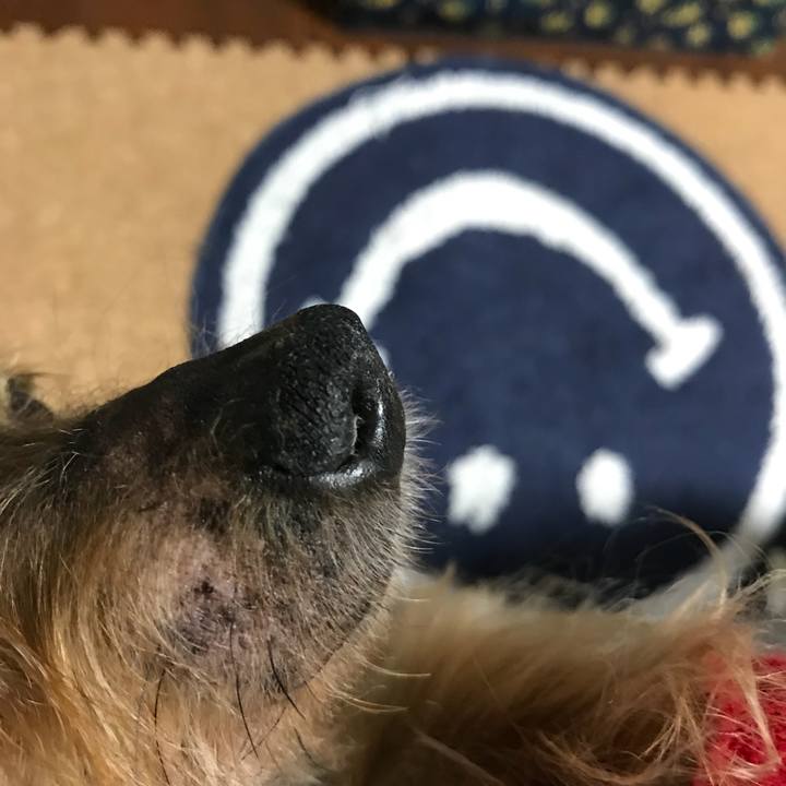 Fb411e85 bd67 4df7 93d0 7647692a47db 1523759503973