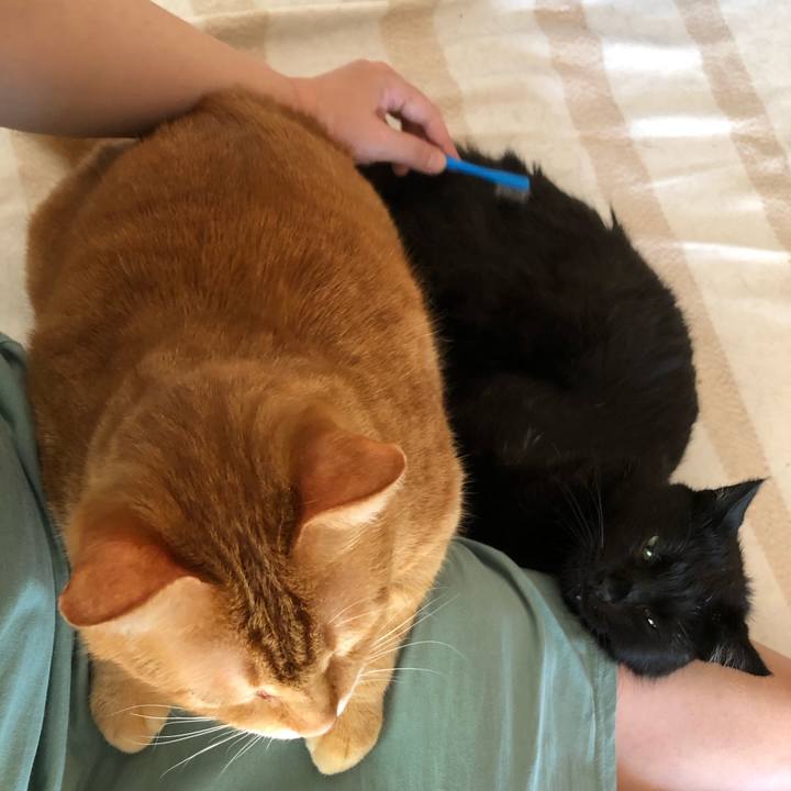 Fb414e09 3147 42db 9871 4e23b65288f5 1626998862059