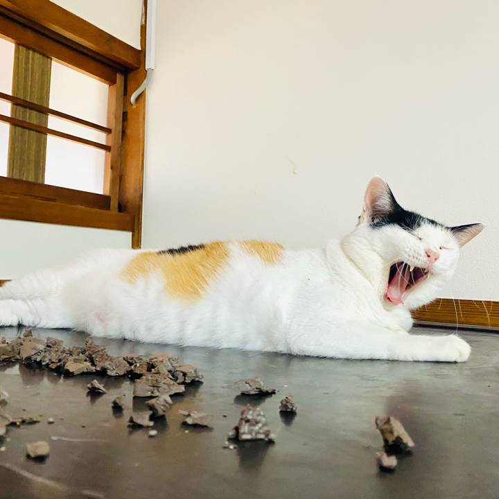 Fb41619c 8ad9 493a 9847 5cd4ce642641 1754142468680