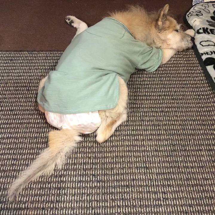 Fb41672a 242d 4fa3 84e2 61dceab98dae 1648475402831