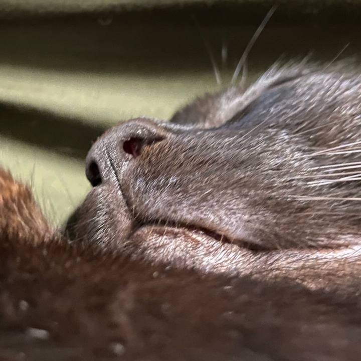 Fb419d66 ba27 4d4f a910 294b4c156230 1675679453770