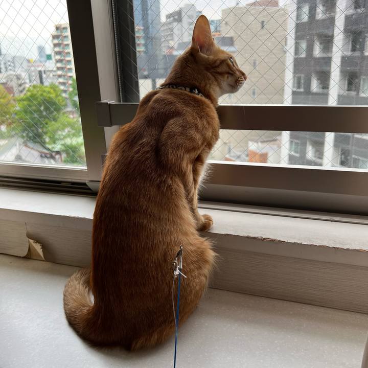 Fb41d04c e31e 4400 84d5 5d5608fa6e07 1651449987147