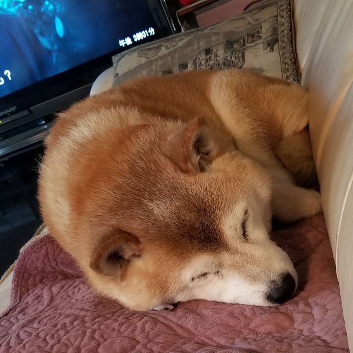 Fb41f77d 7f36 48d5 b515 bd90ab952696 1721025128446