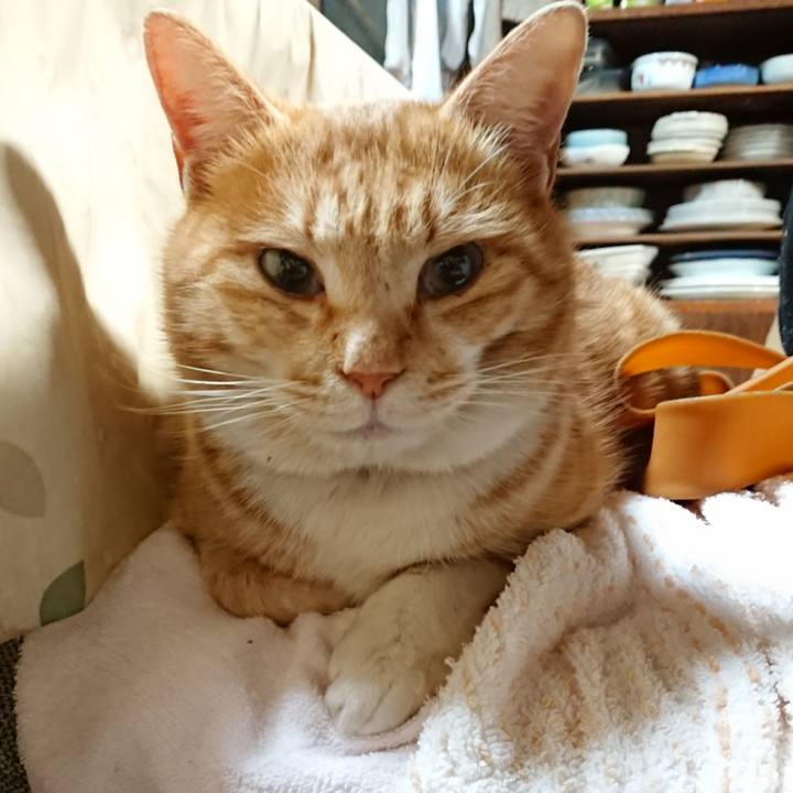 Fb41f799 c311 42e5 8b52 0b21f42a7faa 1581282751650