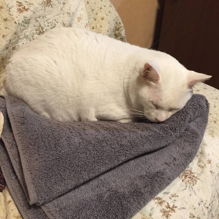 Fb41f9cd b368 4901 a4c2 e7d272451852 1542986377344