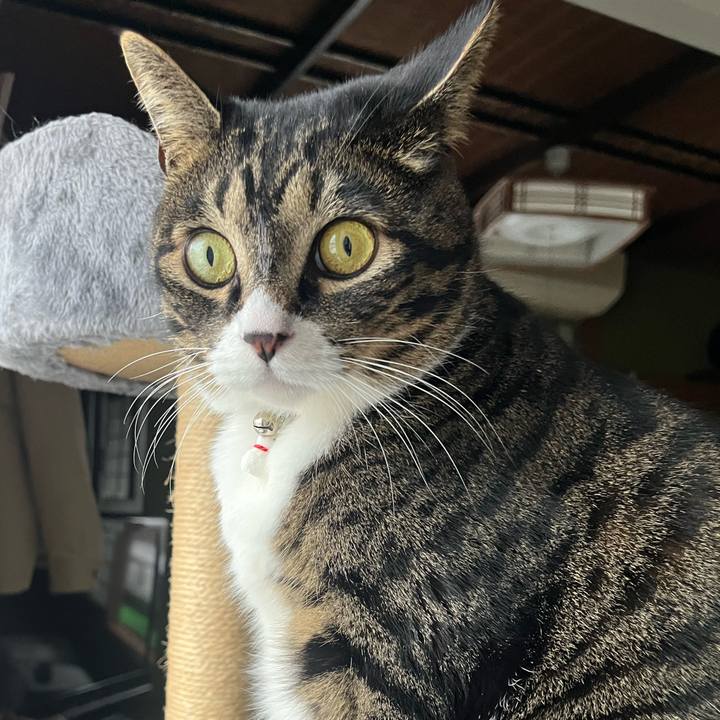 Fb428bb8 9ba0 4137 b7a9 962fe118bf60 1765755974262