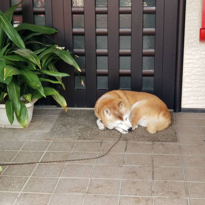 Fb428e92 be4f 422e 8205 c4b15b74532a 1732670373427