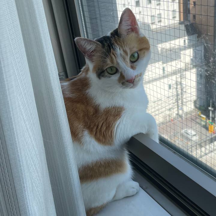 Fb42c601 ac14 472b 909d 502ab1a1b569 1656286614364