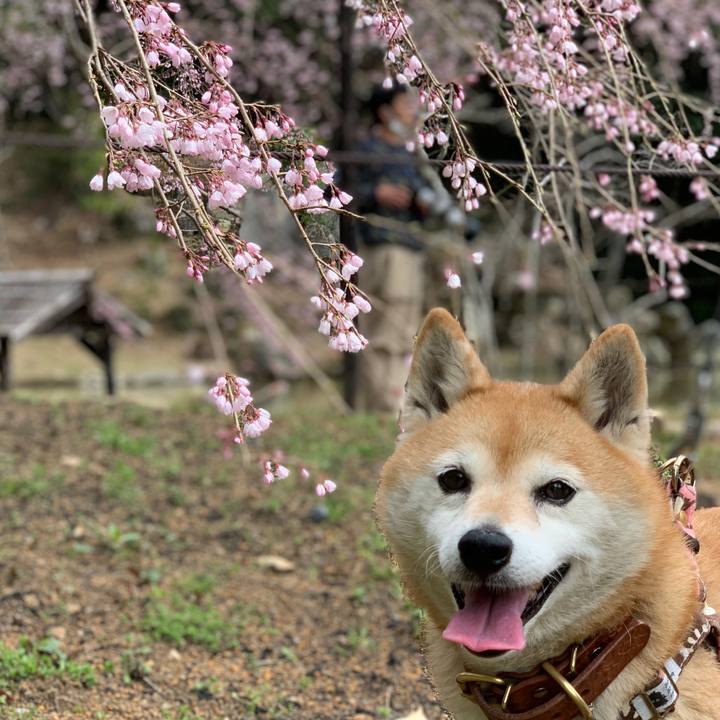 Fb42d6ed ac5b 4002 8a9c ebad2c039aa3 1647762778805