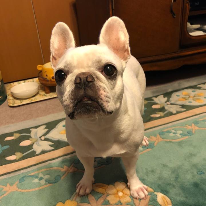 Fb437cfd 5a47 45e4 9561 0ac992b8b03c 1628933968751