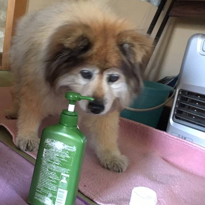 Fb43a5a4 1d44 4d67 916a 98402143e76f 1588049860711