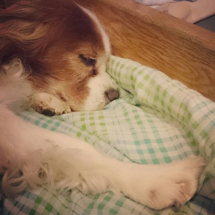 Fb43d090 28a2 41c9 8a27 7b3cf0cd2307 1516794093866