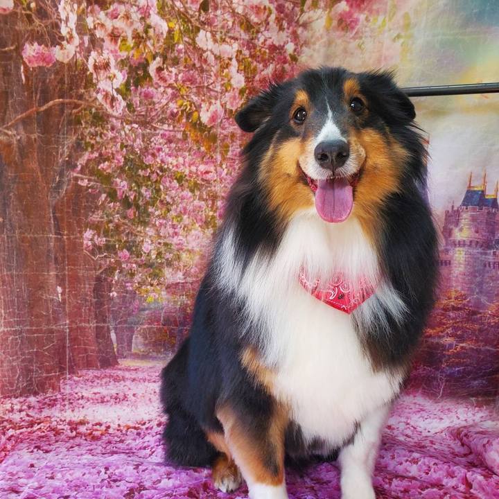 Fb43f389 e54a 40ac 9a3e a6b9c59bfd55 1678536968168