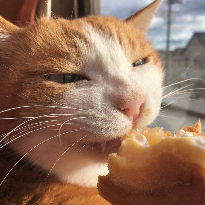 Fb442423 2f4c 4786 b508 cf53f12bcebd 1577867793269