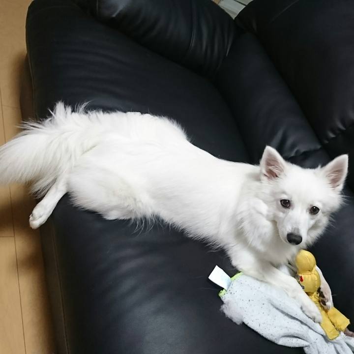 Fb446715 ea4e 4e33 b2d8 a39be95cf367 1509634193184