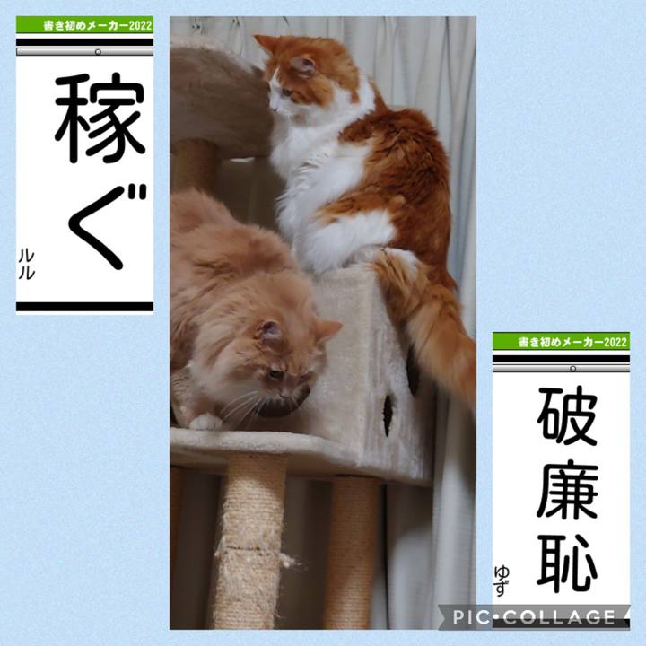 Fb448ea8 a699 46c6 a210 448999e23ffb 1641137074126