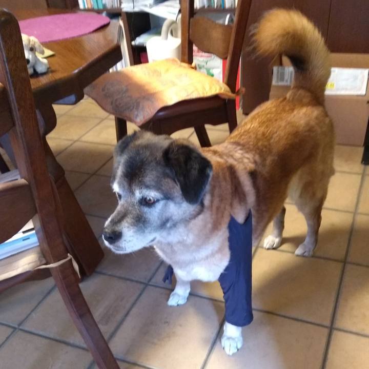 Fb4491a6 39a4 44f7 810e 49d774aca23f 1559267821396