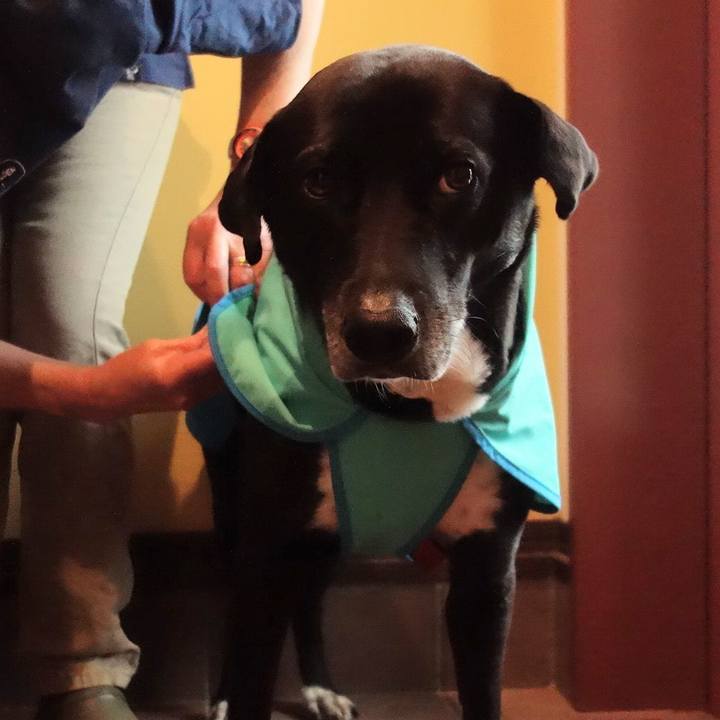 Fb44b84c 40eb 4f1d a259 0561b220eaec 1685322343426