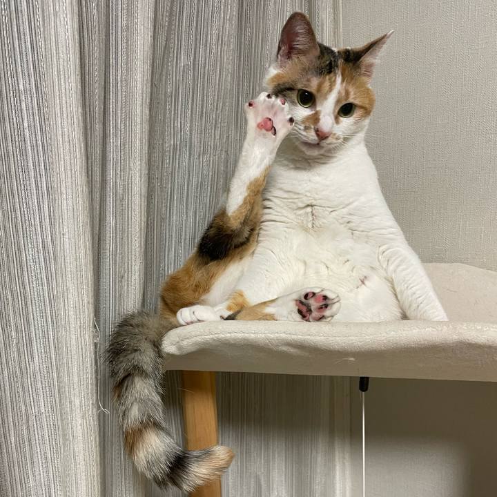 Fb44ca53 1cf2 4518 8e4d 21c794f4fe34 1657371889228