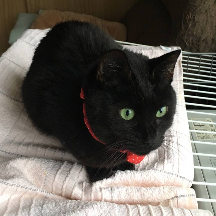 Fb44e648 2156 453f 955b 89fc88af9e0a 1552126640981