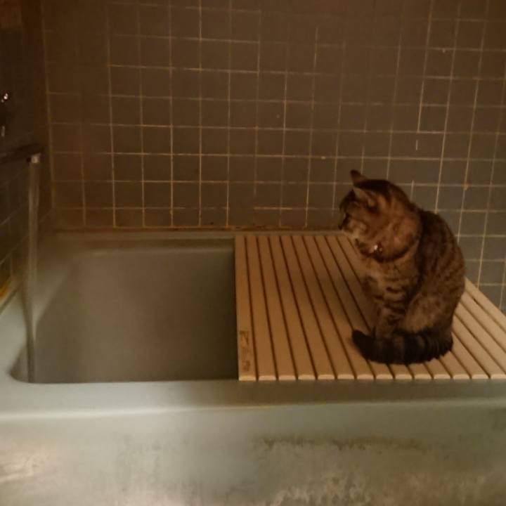 Fb44eb58 ecf2 4f98 9024 c7cf8caca0cd 1580722777134