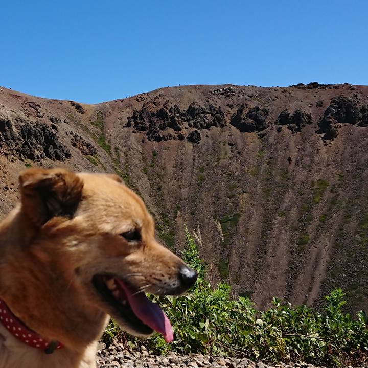 Fb44ee7a 426b 4efe b9e9 c5ccd24bcd39 1578056105724