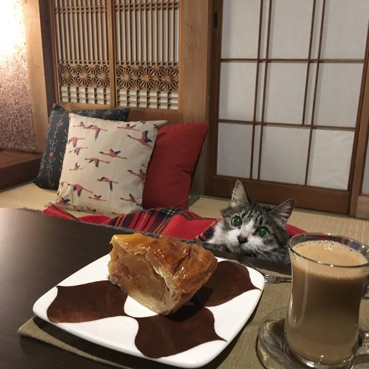 Fb44f812 2a2f 4bd9 9cb7 c397d9d5ac82 1512223636499