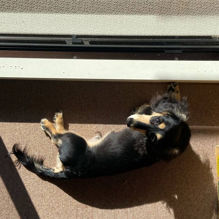 Fb452eb1 360f 4e43 9d65 f58a884f6a9f 1674695209085