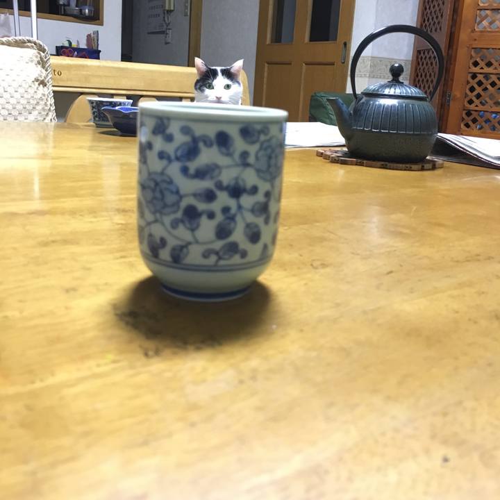 Fb454f00 94af 49fa a929 70eae514abe3 1512141455434