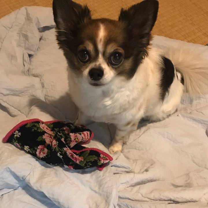 Fb4551b6 5eb1 42e3 bc42 237c98918f26 1592229067149