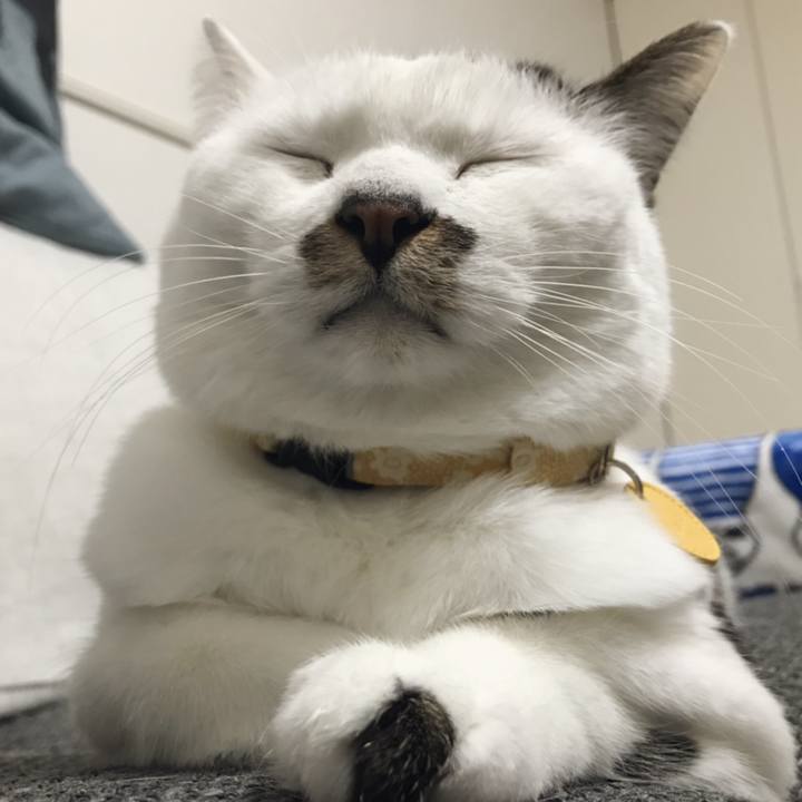 Fb458620 d696 417d b9f4 fca032bc9680 1547607966892