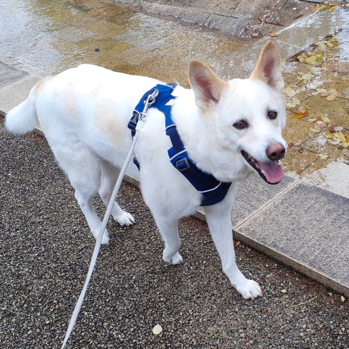 Fb458d45 eb61 4b6a 9754 80408eb1a473 1680924734870