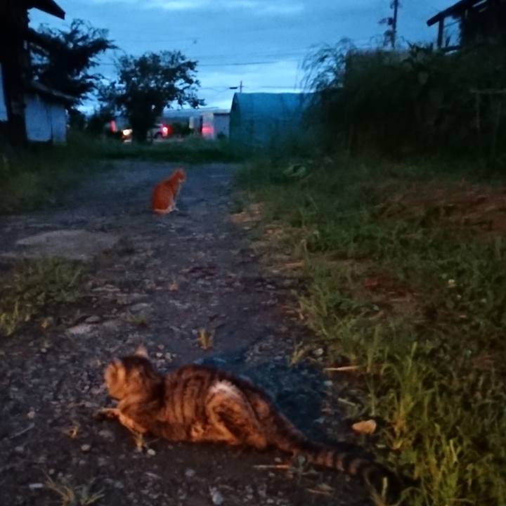 Fb459e25 8db8 41aa 8eeb 8796d841bf99 1598867039219