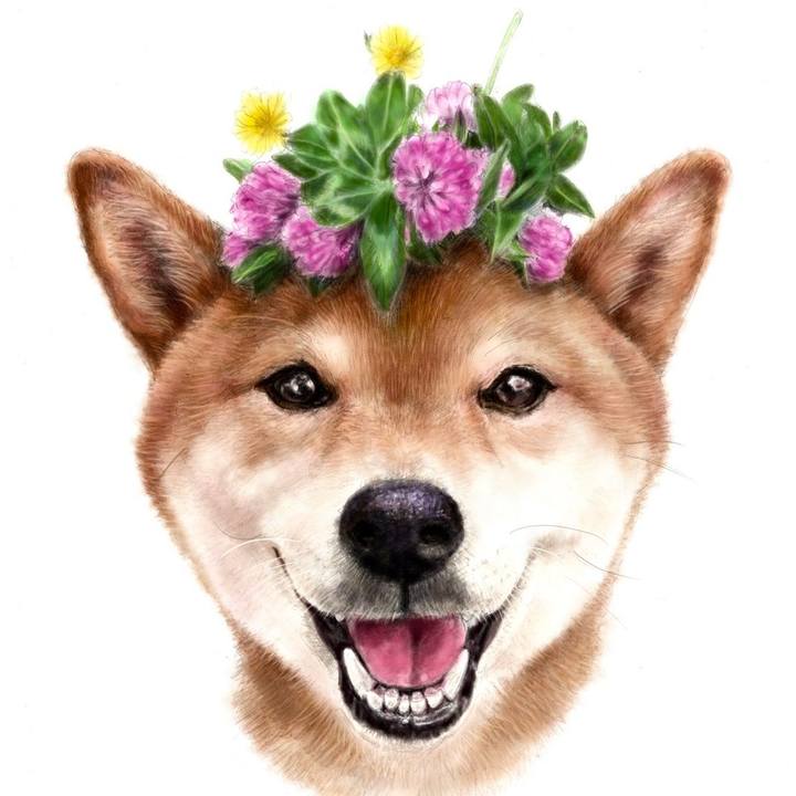 Fb45baea 0496 4f28 a031 6084e5aa19a5 1623638868253