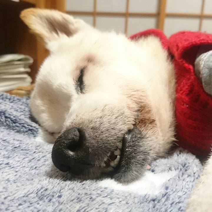 Fb45df01 3705 4dfc 9578 3ee4615e1892 1544097404940