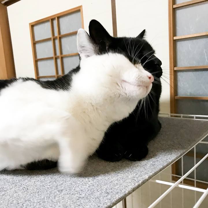 Fb45f731 7ecd 41d7 bd25 41da46806723 1520346127427