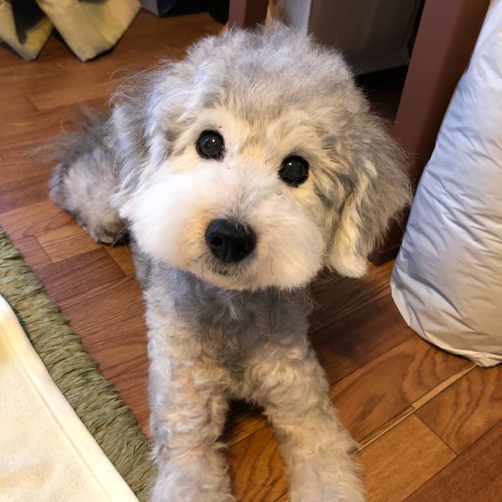 Fb46030f 6bb1 4eae 875c 142293f2e3ae 1531091813645