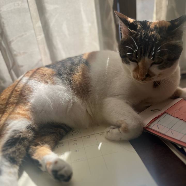 Fb461e6c a264 4e1f 92b3 6171cb591385 1760664279337