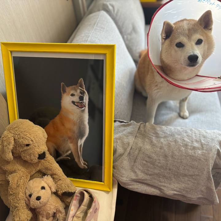 Fb463124 1610 460c a1c3 874e4ff486a5 1757370556892