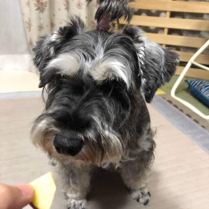 Fb46edc0 015c 4378 a393 12605edce4f5 1626352613594