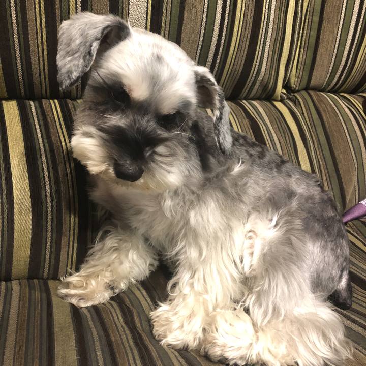 Fb472a58 66bf 4152 a970 b038da09af05 1579875351228