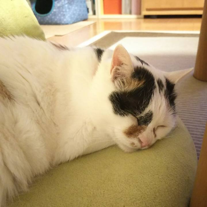 Fb472aec 3452 4172 b018 883e59095754 1528203627636