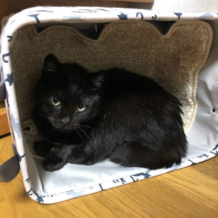 Fb473101 0a6d 460c a6a0 a24bbe9cfe81 1590330074231