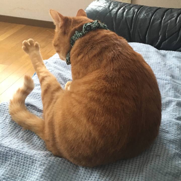 Fb473d2b 62a3 46ff b756 5d479cba0a83 1544939975369