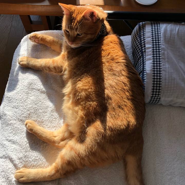 Fb476a0e 156e 4f0d b573 ed94a36d3278 1588196164331