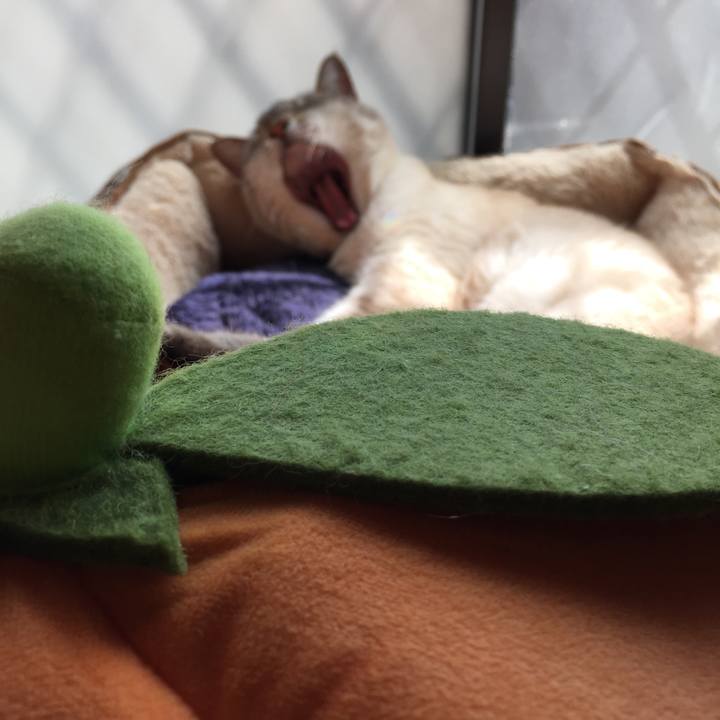 Fb477738 20d7 458b aa54 5e9cfa8dd62c 1520572539281