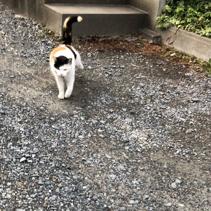 Fb477f26 9019 4a1b b03f 68a85b8a8c41 1614809724046